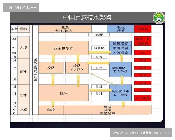 足球经纪人制度变革在即，中足联新政如何规范球员转会市场